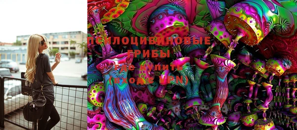 метадон Алексин