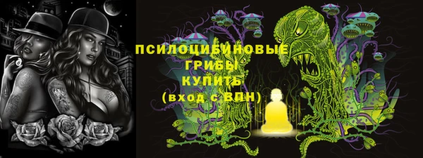 метадон Алексин
