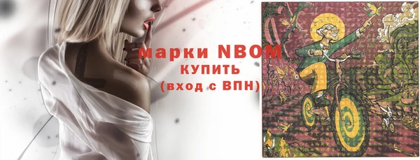 метадон Алексин