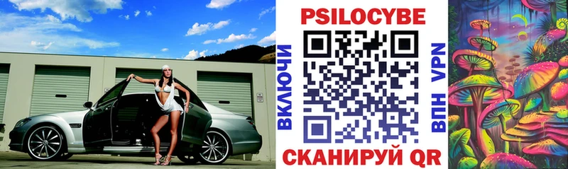 Галлюциногенные грибы Psilocybine cubensis  Сясьстрой 
