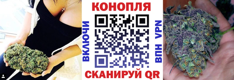 сколько стоит  Сясьстрой  ссылка на мегу онион  Конопля ГИДРОПОН 